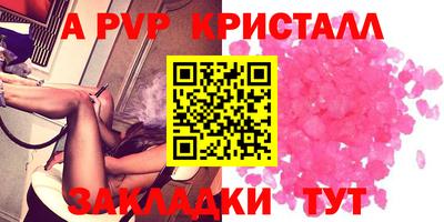 амф Гусев